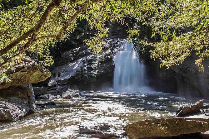 2D1N Mae Wang National Park Jungle Trekking Adventure from Chiang Mai - Forty minutes on a bamboo raft
