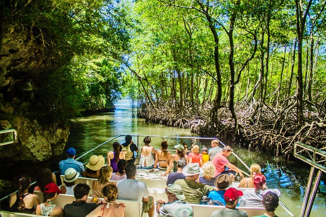 2in1: Los Haitises National Park + Yanigua Waterfall-SPA - Key points to know before you book