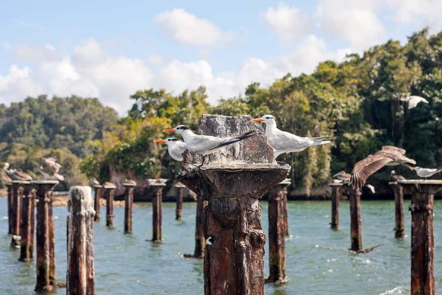 2in1: Los Haitises National Park + Yanigua Waterfall-SPA - Is $125 a fair price?