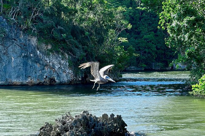 2in1: Los Haitises National Park + Yanigua Waterfall-SPA - Yanigua Waterfall and the clay spa