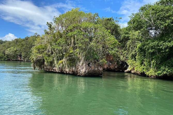 2in1: Los Haitises National Park + Yanigua Waterfall-SPA - Cocoa, coffee, and the taste of rural Dominican life