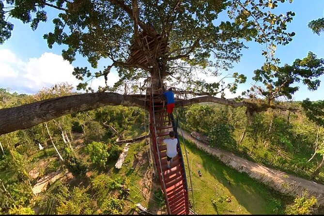 2in1: Los Haitises National Park + Yanigua Waterfall-SPA - What the $129 price really covers