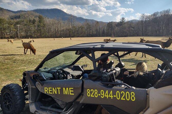 3-3.5 HR UTV ECO Elk Wilderness Adventure - What the mile-high views add to the ride