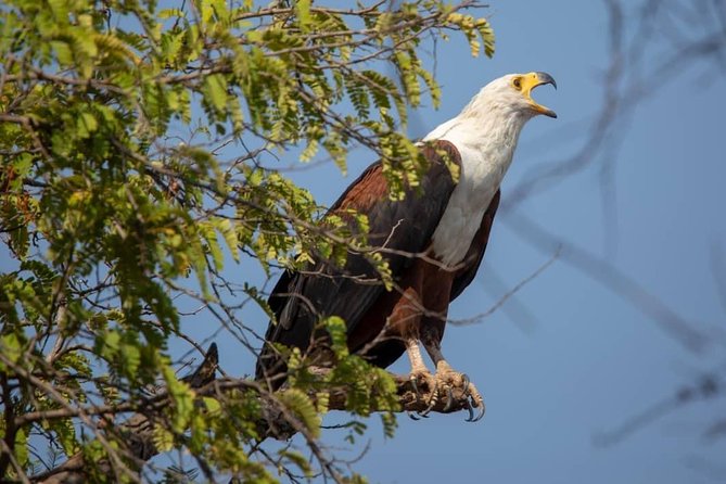3 Day 2 Night Mikumi National Park + Masai culture - Key points before you book
