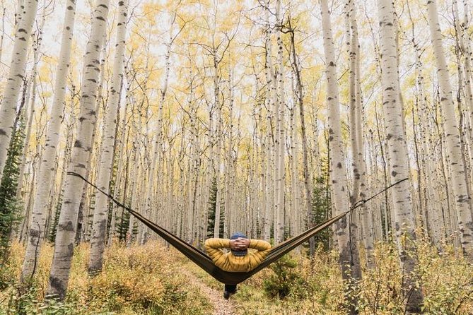 3-Day Authentic Jasper National Park Packaged Tour - Should you book this three-day Rockies tour?