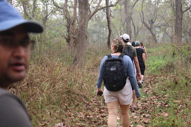 3-Day Chitwan National Park Jungle Safari Tour Package with Pick Up - Arrival in Sauraha and the first afternoon
