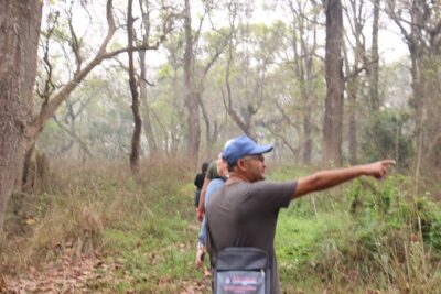 3-Day Chitwan National Park Jungle Safari Tour Package with Pick Up