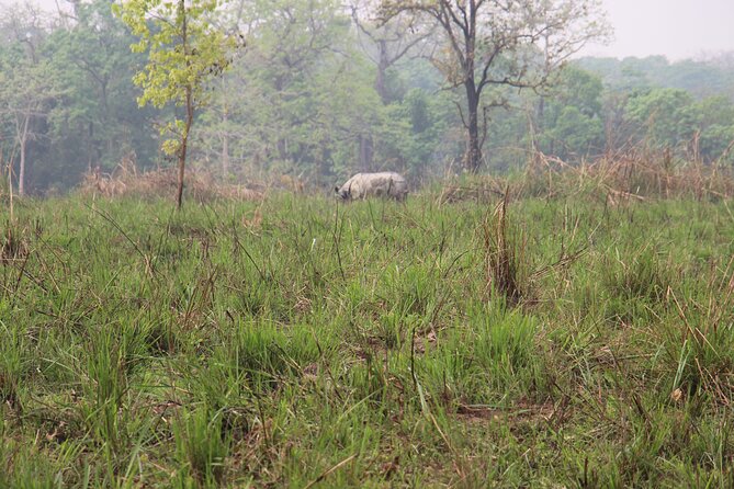 3-Day Chitwan National Park Jungle Safari Tour Package with Pick Up - Tharu culture and the evening program