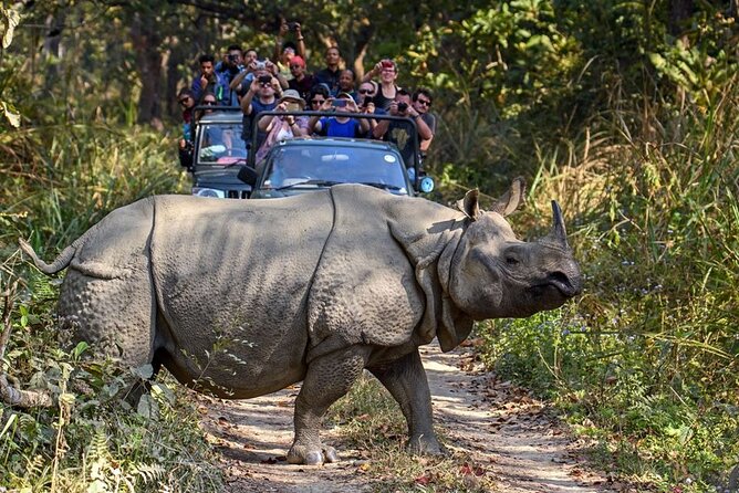 3-Day Chitwan National Park Jungle Safari Tour Package with Pick Up - Meals and the two-night resort stay