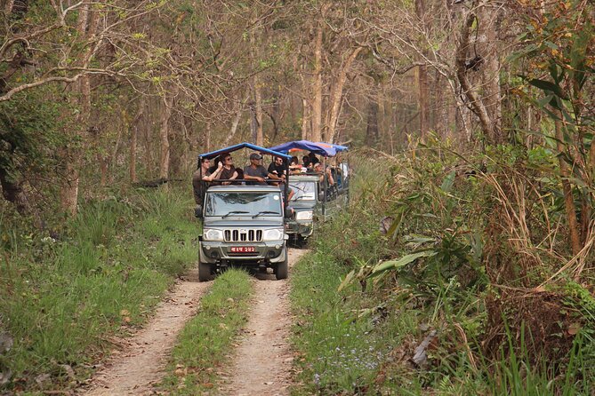 3-Day Chitwan National Park Jungle Safari Tour Package with Pick Up - How safe and manageable is it for solo visitors?