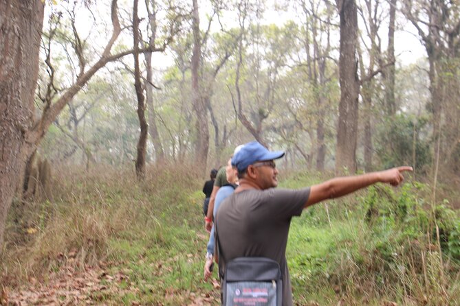 3-Day Chitwan National Park Jungle Safari Tour Package with Pick Up - The Kathmandu to Chitwan bus ride