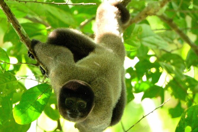 3-Day Eco-Sustainable Private Tour Manu National Park - Five things that make this Manu trip different
