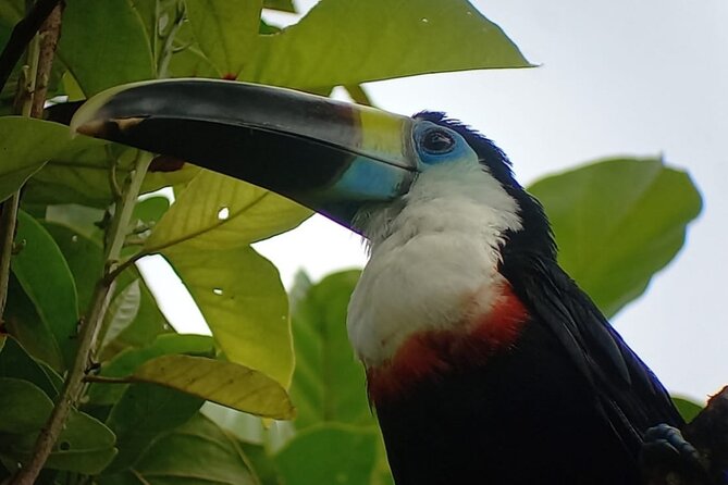 3-Day Eco-Sustainable Private Tour Manu National Park - From Cusco to the Kosñipata Valley