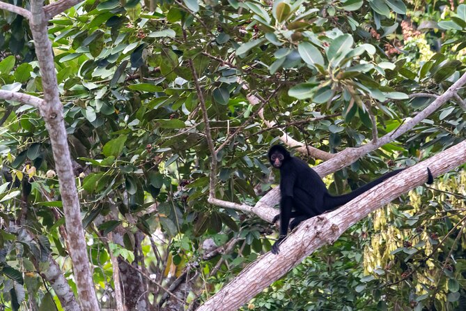 3-Day Eco-Sustainable Private Tour Manu National Park - Parrot clay lick and the return to Cusco