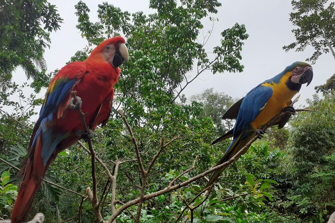 3-Day Eco-Sustainable Private Tour Manu National Park - Environmental responsibility and local benefits