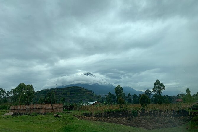 3 Day Gorilla Trek at Bwindi National Park via Kigali - Who should choose this three-day trek