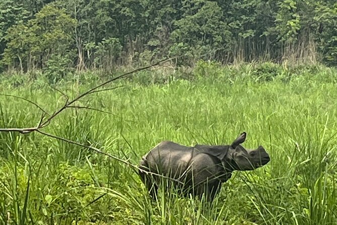 3-Day Guided Safari Tour in Chitwan National Park in Nepal - Meeting the Tharu community
