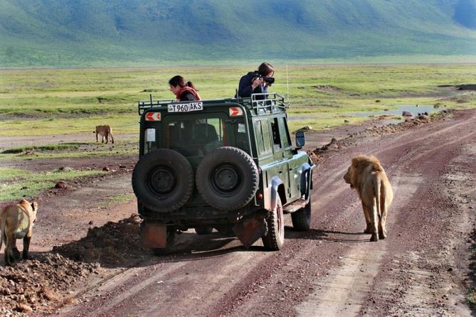 3 Day Joined Group Mid-range Safari Serengeti and Ngorongoro National Park - Why this three-day route works