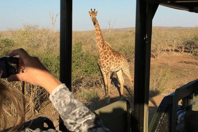 3-Day Kruger National Park Open Vehicle Safari - Leaving Johannesburg in a nine-person minivan