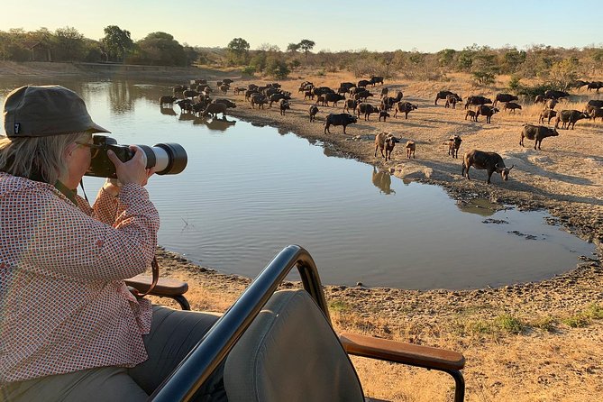 3-Day Kruger National Park Open Vehicle Safari - Day two: the main day for wildlife