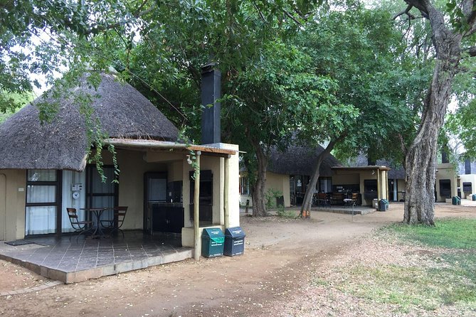 3-Day Kruger National Park Open Vehicle Safari - Day three: one last drive, then the long return