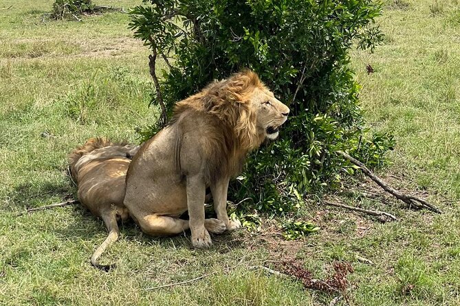 3-Day Masai Mara and Naivasha Hell's Gate National Park-Safari - Leaving Nairobi for the Great Rift Valley