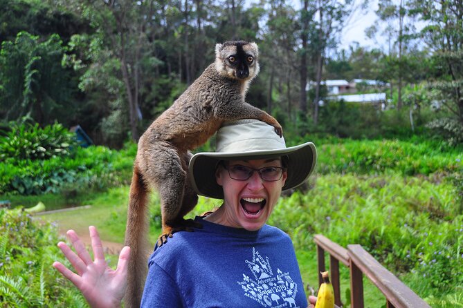 3-Day Private Tour to Andasibe National Park - Day one: the road east and wildlife after dark