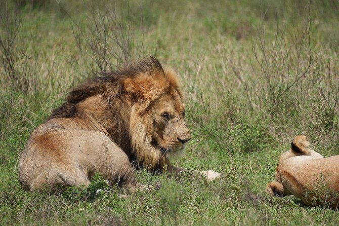 3 Day Safari to Serengeti National Park and Ngorongoro Crater - What the $855 price really gives you
