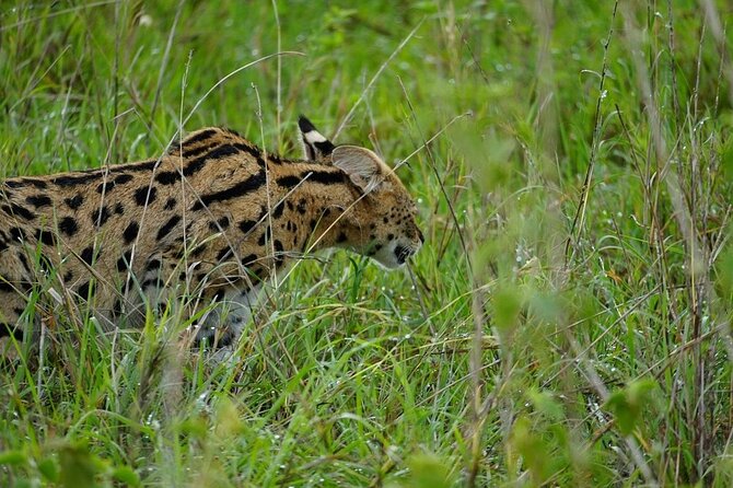 3 Day Safari to Serengeti National Park and Ngorongoro Crater - The small-group advantage