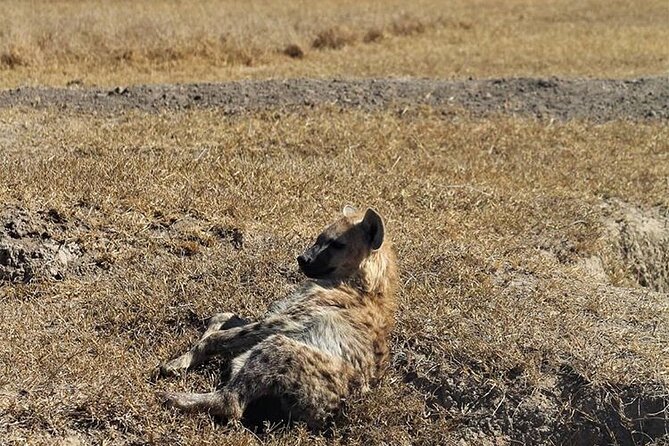 3-Day Safari Tour in two National Parks - The overnight stop can shape your comfort