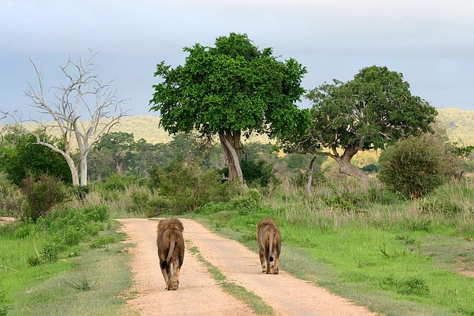 3-Day Safari Tour to Tarangire National Park, Lake Manyara National Park and Ngorongoro Crater from Arusha - Meals, water, and lodge nights
