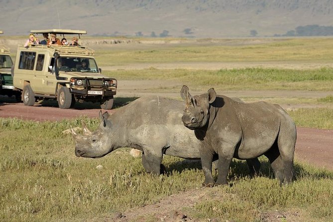 3-Day Safari Tour to Tarangire National Park, Lake Manyara National Park and Ngorongoro Crater from Arusha - What is and is not included