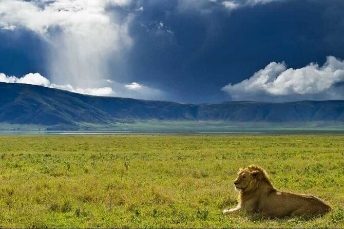 3 Day Sharing Safari - Manyara, Ngorongoro Crater and Tarangire National Parks - Key points before you book