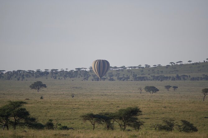 3 Day Sharing Safari - Manyara, Ngorongoro Crater and Tarangire National Parks - The guide and the feel of the trip