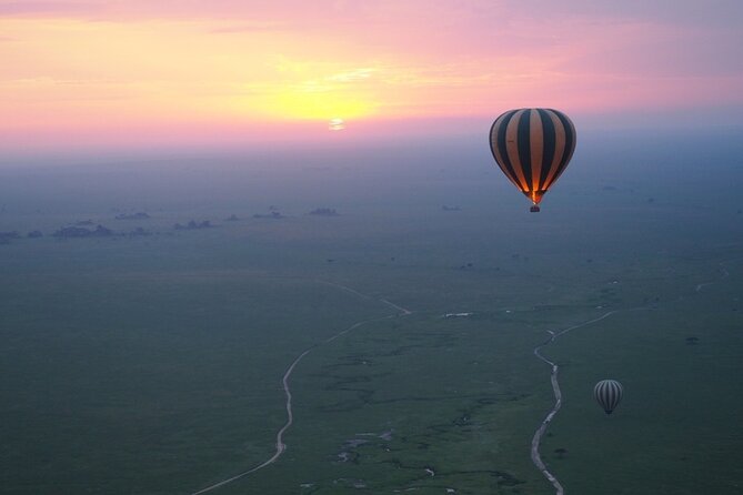 3 Day Sharing Safari - Manyara, Ngorongoro Crater and Tarangire National Parks - Day two: the Ngorongoro Crater floor