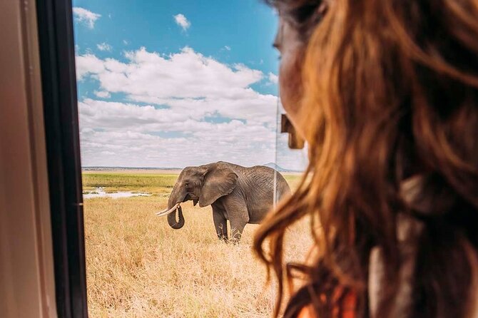3-Day Taste of Tanzania Safari (Tarangire National park and Ngorongoro Crater) - What the guide can add