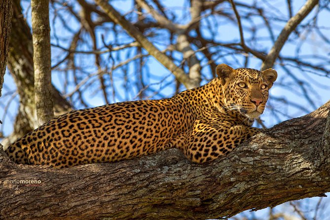 3-Day Taste of Tanzania Safari (Tarangire National park and Ngorongoro Crater) - A few practical ways to prepare