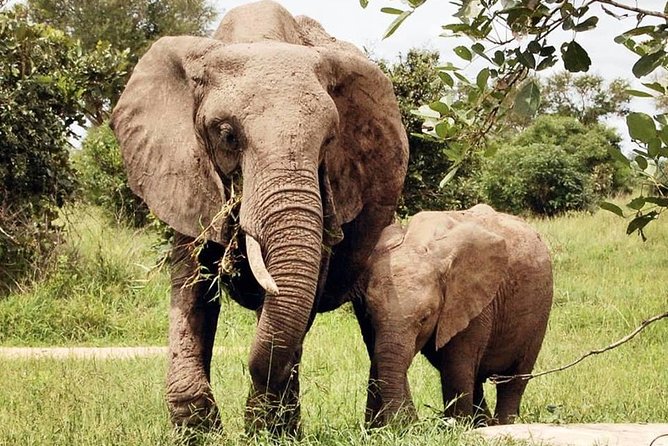 3 Days 2 Nights Adventures At Mikumi National Park - Accommodation and meals during the two nights