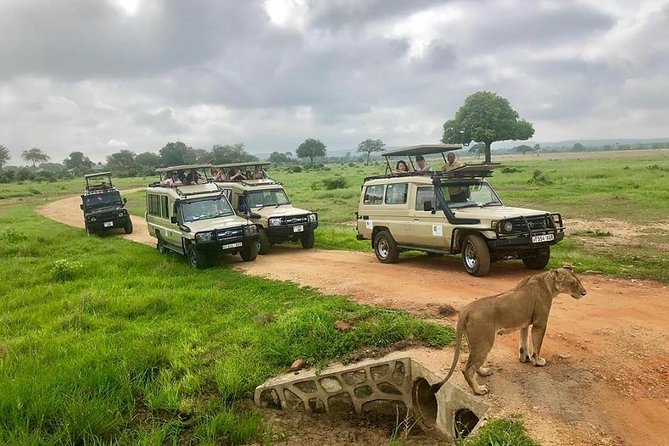 3 Days 2 Nights Adventures At Mikumi National Park - Day 3: Returning to Dar es Salaam