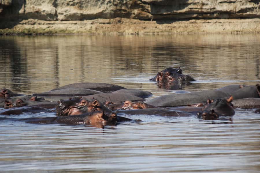3 Days 2 Nights Amazing Masai Tour & Mikumi National Park - Why the private format matters