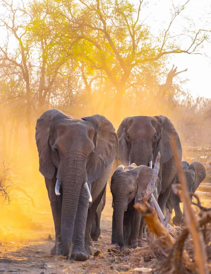 3 Days 2 Nights Amazing Masai Tour & Mikumi National Park - The return to Dar es Salaam
