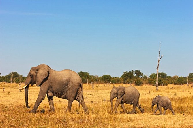 3 Days, 2 Nights Safari - Amboseli National Park and Tsavo West Adventure Safari - Day two: leave Tsavo West for Amboseli’s elephant country