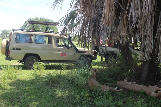 3 Days/2Nights Nyerere National Park Safari - Should you book the Nyerere three-day safari?