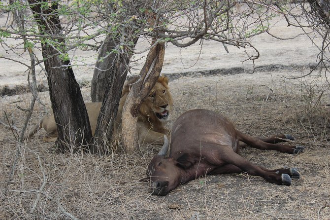 3 Days/2Nights Nyerere National Park Safari - Day 1: The road from Dar es Salaam to the Rufiji River
