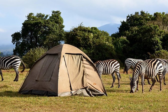 3 Days Joined Group Safari Ngorongoro,Lake Manyara and Tarangire National Park - Day 2: Lake Manyara’s forest, wetlands, and birdlife