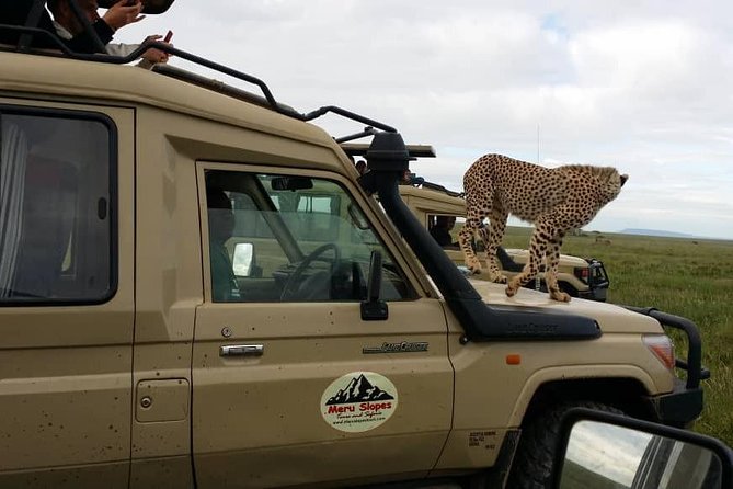 3 Days Lake Manyara, Ngorogoro Crater, Tarangire National Park - Lake Manyara and Mto wa Mbu: the cultural finish