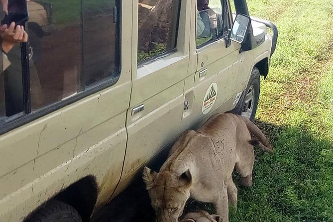 3 Days Lake Manyara, Ngorogoro Crater, Tarangire National Park - What the $730 price really includes
