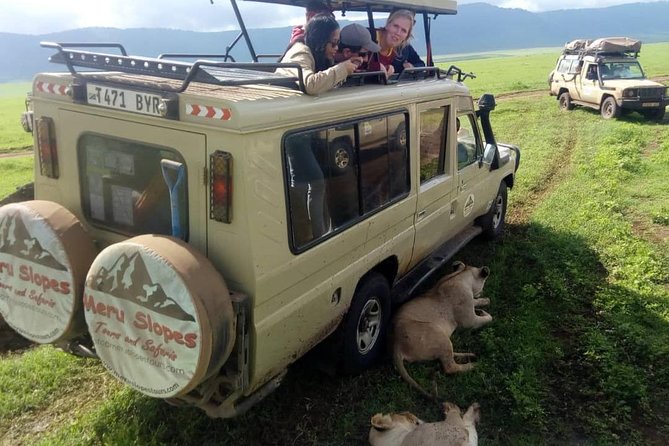 3 Days Lake Manyara, Ngorogoro Crater, Tarangire National Park - The small-group format and daily pace