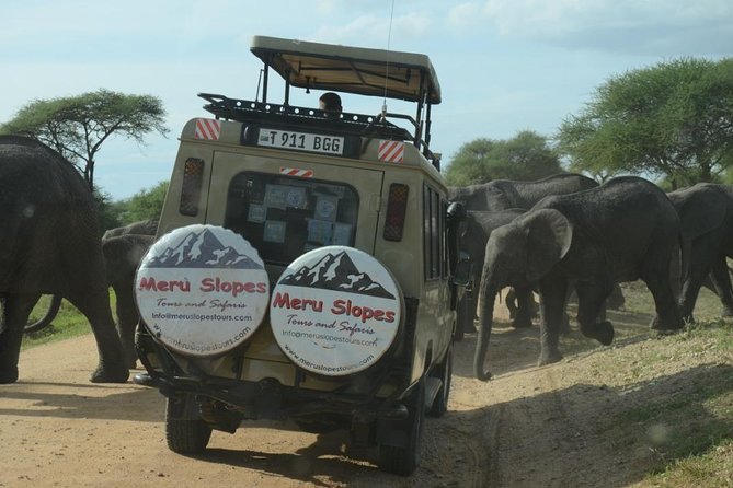 3 Days Lake Manyara, Ngorogoro Crater, Tarangire National Park - Who should book this safari