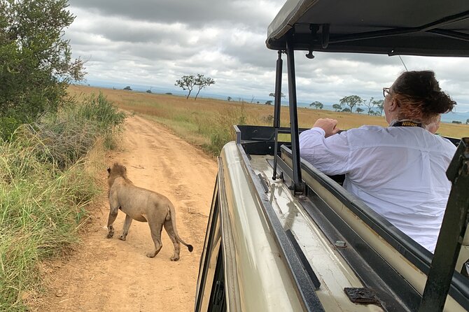 3 Days Mikumi National Park Private Tour - Why Mikumi works for a short safari from Dar es Salaam